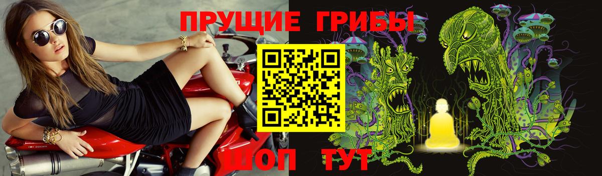 Галлюциногенные грибы Psilocybe Краснотурьинск